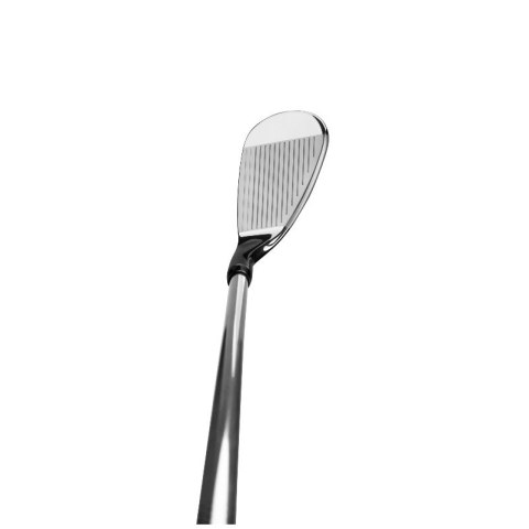 Callaway, zestaw kijów do golfa model XR-26 (12 kijów z torbą typ standbag), irony na staloowych szaftach regular, dla golfisty 